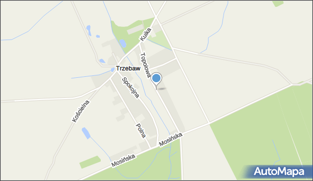 Trzebaw gmina Stęszew, Topolowa, mapa Trzebaw gmina Stęszew