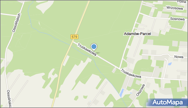 Radziejowice, Truskawkowa, mapa Radziejowice