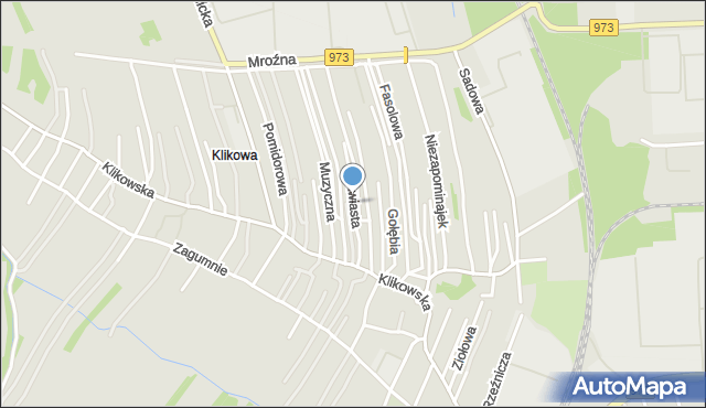 Tarnów, Trawiasta, mapa Tarnów