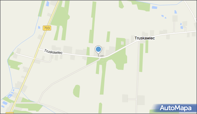 Truskawiec gmina Wartkowice, Truskawiec, mapa Truskawiec gmina Wartkowice
