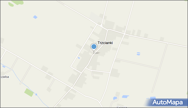 Trzcianki gmina Nowodwór, Trzcianki, mapa Trzcianki gmina Nowodwór