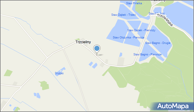 Trzcieliny gmina Odolanów, Trzcieliny, mapa Trzcieliny gmina Odolanów