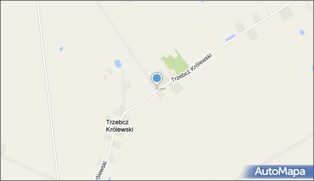 Trzebcz Królewski, Trzebcz Królewski, mapa Trzebcz Królewski