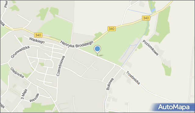 Trzebnica, Truskawkowa, mapa Trzebnica