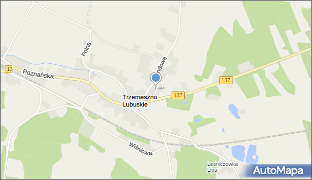 Trzemeszno Lubuskie, Trzemeszno Lubuskie, mapa Trzemeszno Lubuskie