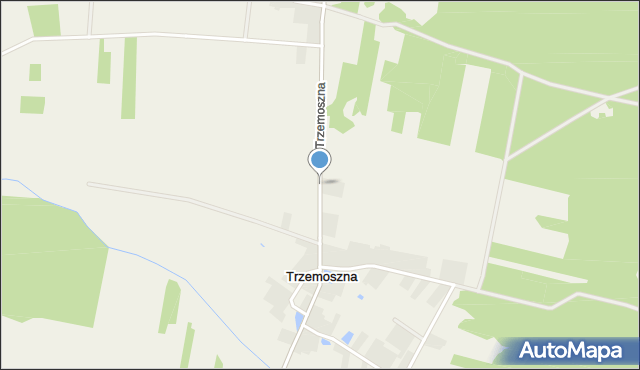 Trzemoszna, Trzemoszna, mapa Trzemoszna