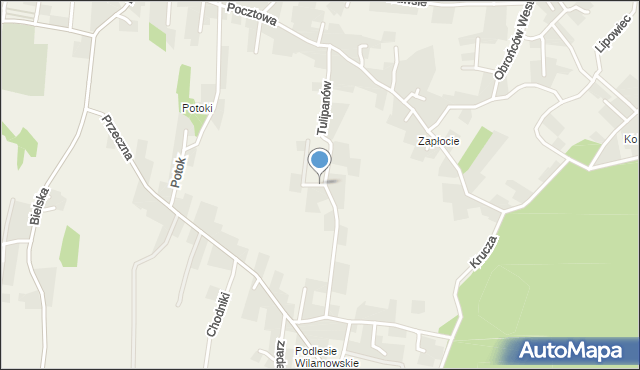 Jawiszowice, Tulipanów, mapa Jawiszowice