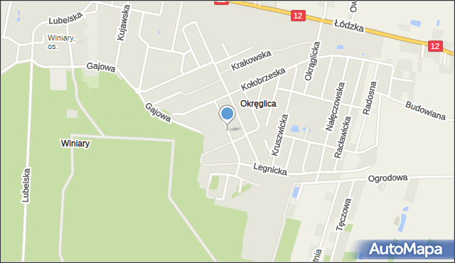 Kalisz, Tuszyńska, mapa Kalisza