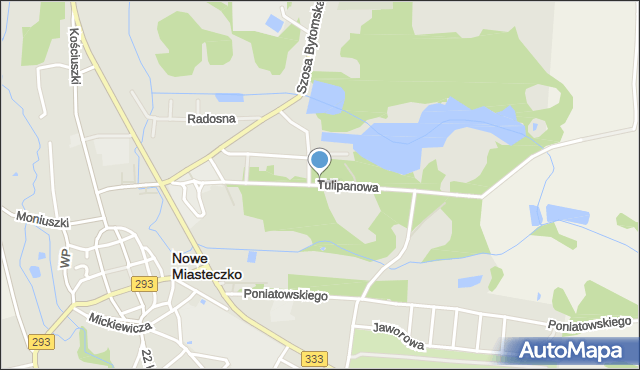 Nowe Miasteczko, Tulipanowa, mapa Nowe Miasteczko