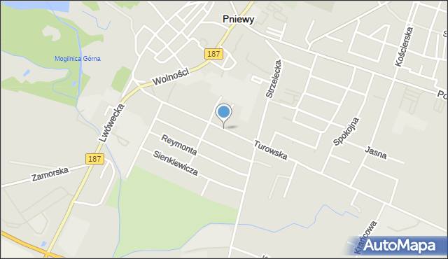 Pniewy powiat szamotulski, Turowska, mapa Pniewy powiat szamotulski