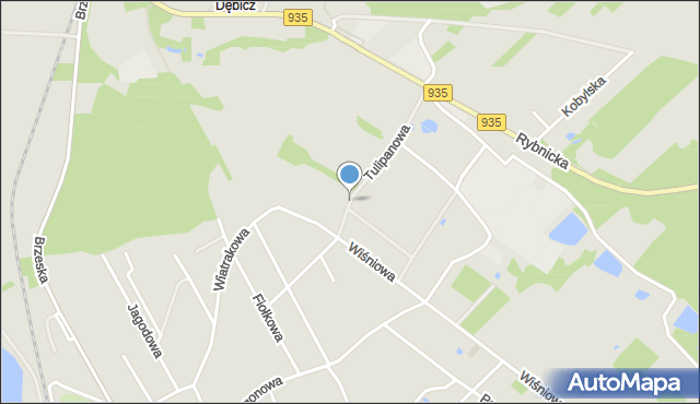 Racibórz, Tulipanowa, mapa Racibórz