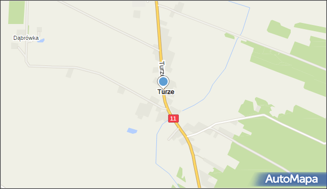 Turze gmina Ostrzeszów, Turze, mapa Turze gmina Ostrzeszów