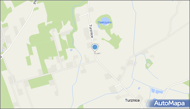 Turznice, Turznice, mapa Turznice