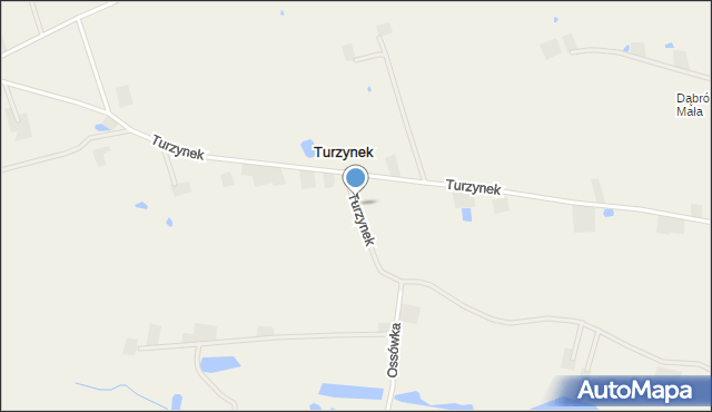 Turzynek, Turzynek, mapa Turzynek