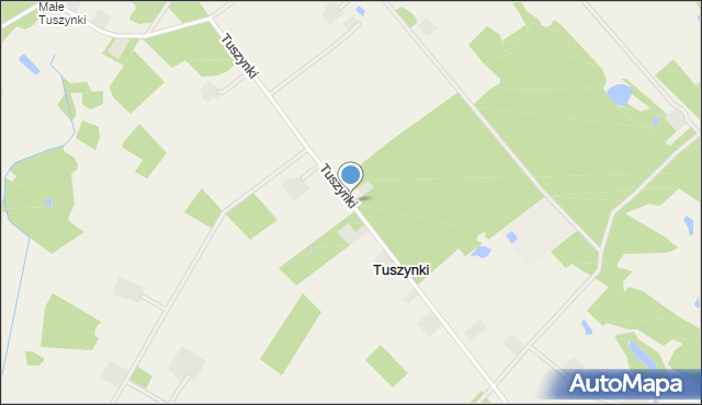 Tuszynki, Tuszynki, mapa Tuszynki