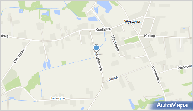 Wyszyna gmina Władysławów, Tuliszkowska, mapa Wyszyna gmina Władysławów