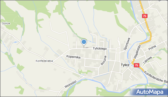 Tylicz, Tylickiego, bp., mapa Tylicz