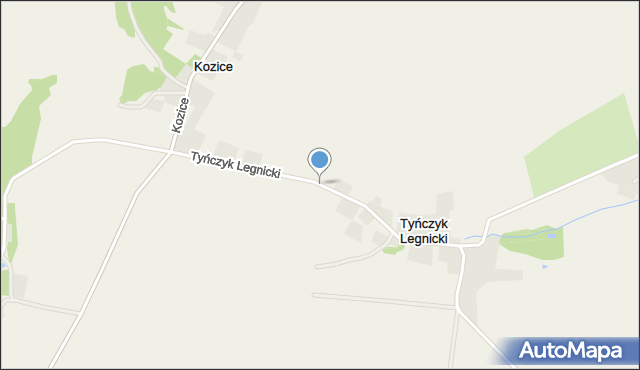 Tyńczyk Legnicki, Tyńczyk Legnicki, mapa Tyńczyk Legnicki