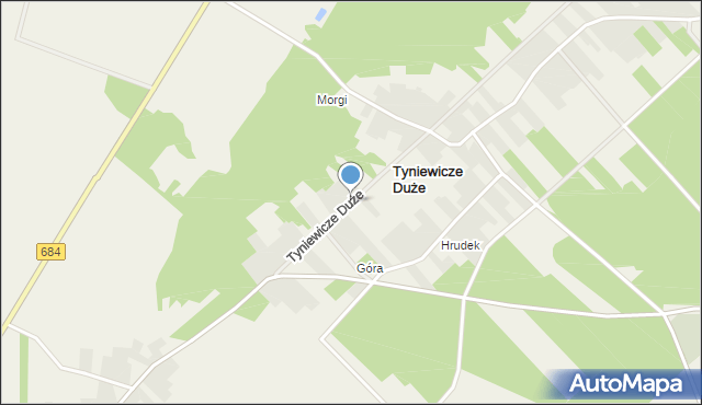 Tyniewicze Duże, Tyniewicze Duże, mapa Tyniewicze Duże