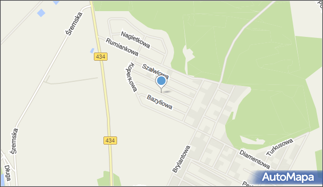 Zbrudzewo, Tymiankowa, mapa Zbrudzewo