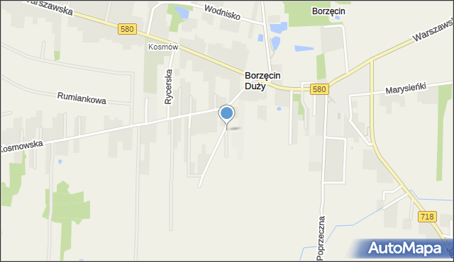 Borzęcin Duży, Ukośna, mapa Borzęcin Duży