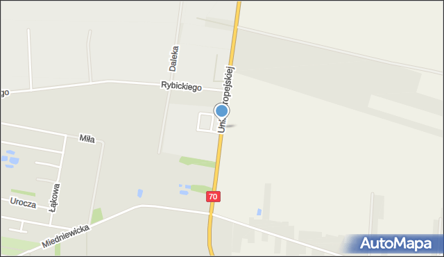 Skierniewice, Unii Europejskiej, mapa Skierniewic