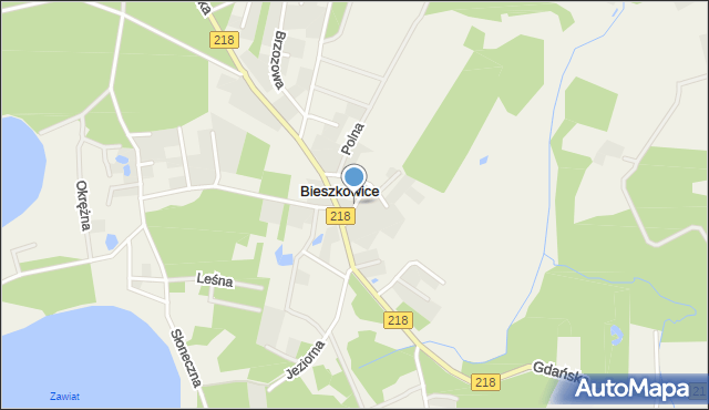 Bieszkowice, Usługowa, mapa Bieszkowice