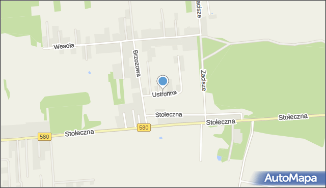 Zaborówek gmina Leszno, Ustronna, mapa Zaborówek gmina Leszno