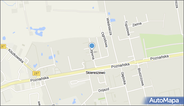 Gniezno, Warzywna, mapa Gniezna