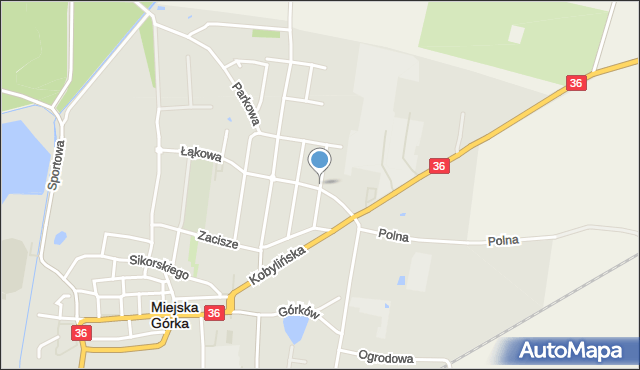 Miejska Górka, Walkowiaka, ks., mapa Miejska Górka