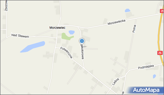 Morzewiec, Wąskotorowa, mapa Morzewiec