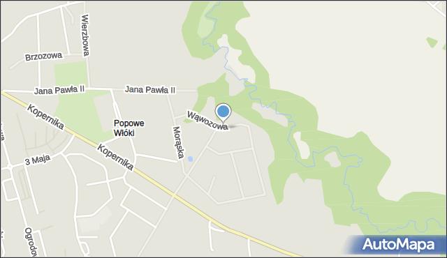 Pasłęk, Wąwozowa, mapa Pasłęk
