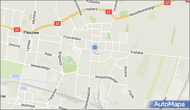 Pleszew, Wąska, mapa Pleszew