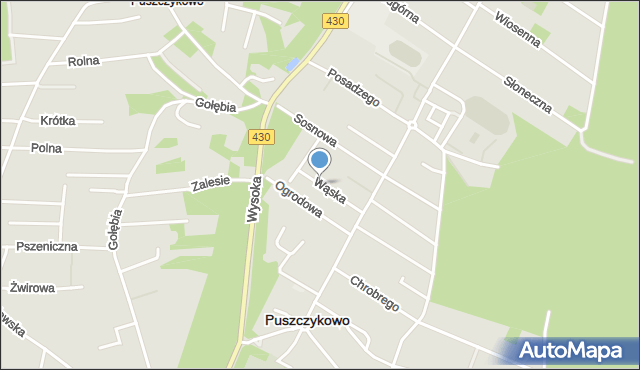 Puszczykowo powiat poznański, Wąska, mapa Puszczykowo powiat poznański