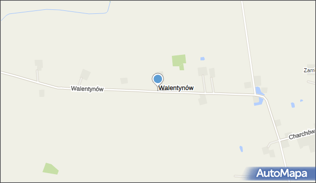 Walentynów gmina Zadzim, Walentynów, mapa Walentynów gmina Zadzim