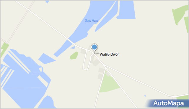 Waliły-Dwór, Waliły-Dwór, mapa Waliły-Dwór