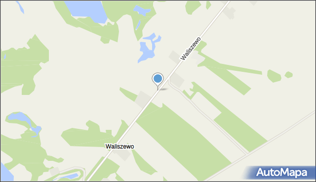 Waliszewo gmina Ińsko, Waliszewo, mapa Waliszewo gmina Ińsko