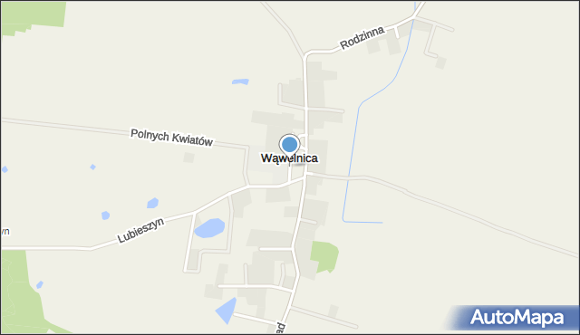 Wąwelnica, Wąwelnica, mapa Wąwelnica