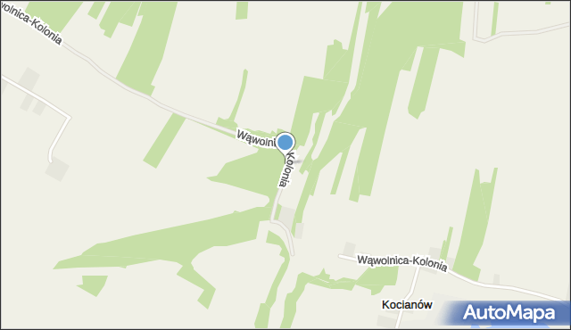 Wąwolnica powiat puławski, Wąwolnica-Kolonia, mapa Wąwolnica powiat puławski