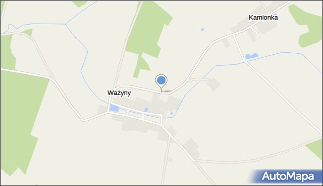 Ważyny, Ważyny, mapa Ważyny