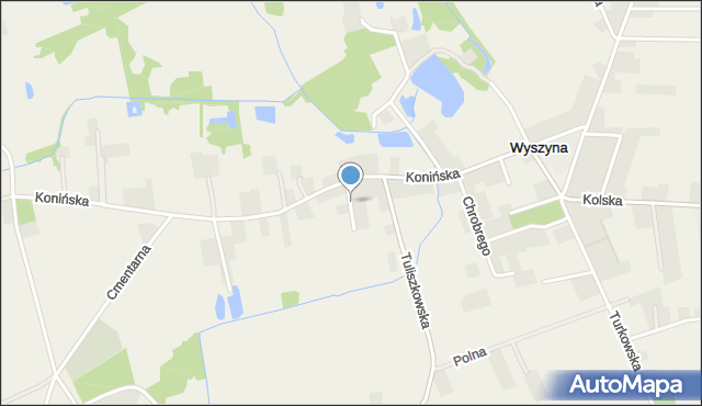 Wyszyna gmina Władysławów, Wąska, mapa Wyszyna gmina Władysławów