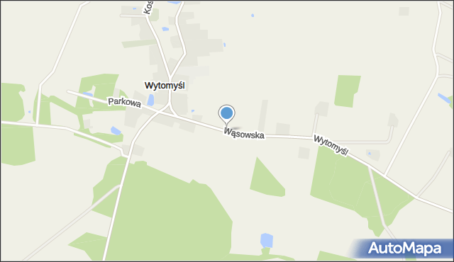 Wytomyśl, Wąsowska, mapa Wytomyśl