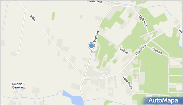 Cerekiew gmina Zakrzew, Wesoła, mapa Cerekiew gmina Zakrzew