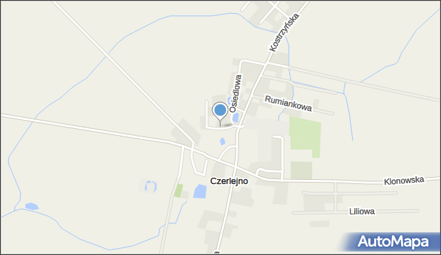 Czerlejno, Wesoła, mapa Czerlejno