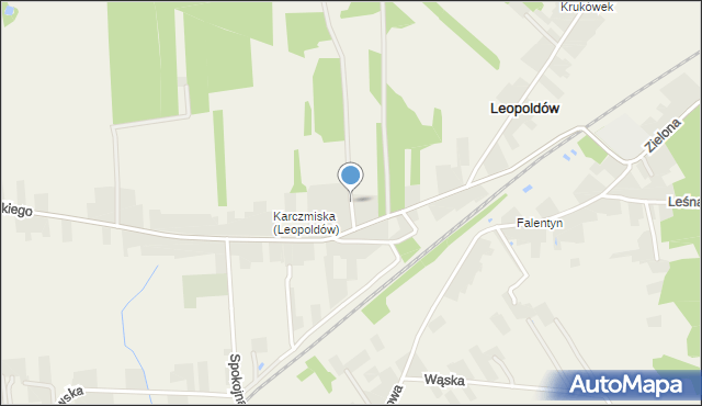 Leopoldów gmina Ryki, Wesoła, mapa Leopoldów gmina Ryki