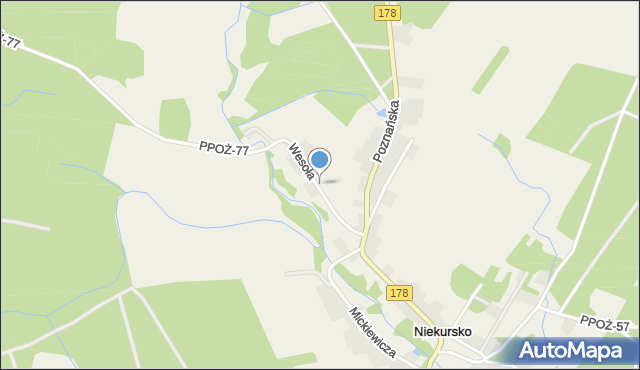 Niekursko, Wesoła, mapa Niekursko