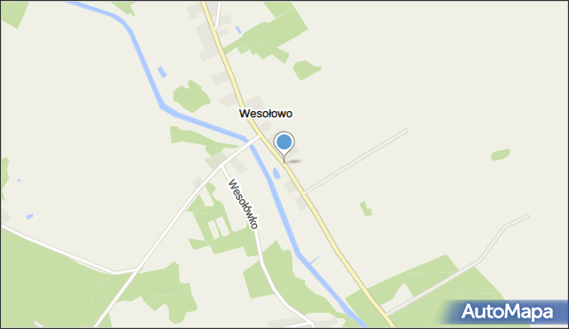 Wesołowo gmina Wielbark, Wesołowo, mapa Wesołowo gmina Wielbark