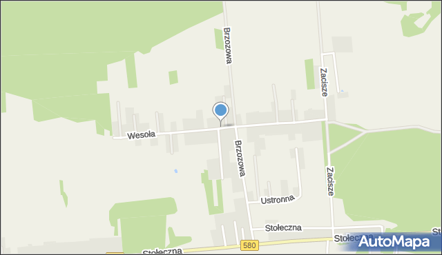 Zaborówek gmina Leszno, Wesoła, mapa Zaborówek gmina Leszno