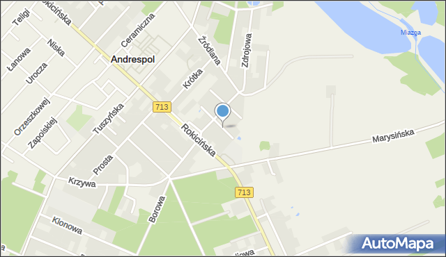 Andrespol, Wieniawskiego Henryka, mapa Andrespol