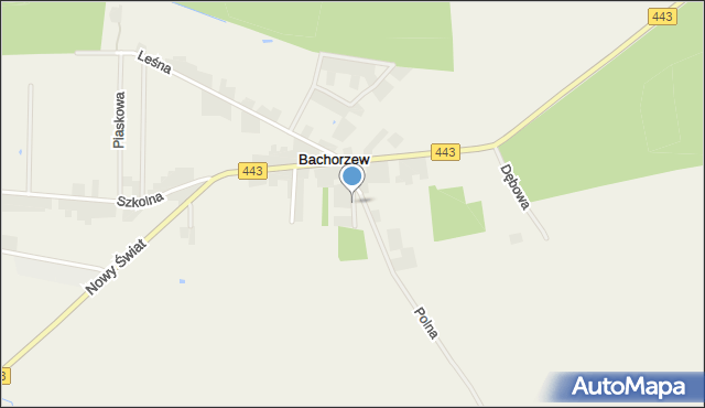 Bachorzew, Wiosenna, mapa Bachorzew